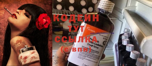 шишки Рославль